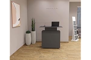 Aigentlich Rollbare Verkaufstheke Messetheke aus Holz | Empfangstheke Ladentheke mit 7 Fächer + Schranktür B108xT60xH111,5cm | Rednerpult Infotheke aus eigener Fertigung (Anthrazit)