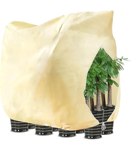 Voile D'Hivernage Pour Plantes – Lot De 2 Housses 100x80 Cm, Tissu Non Tissé 80 G/m² – Fermeture Éclair Et Cordon – Protection Gel, Vent