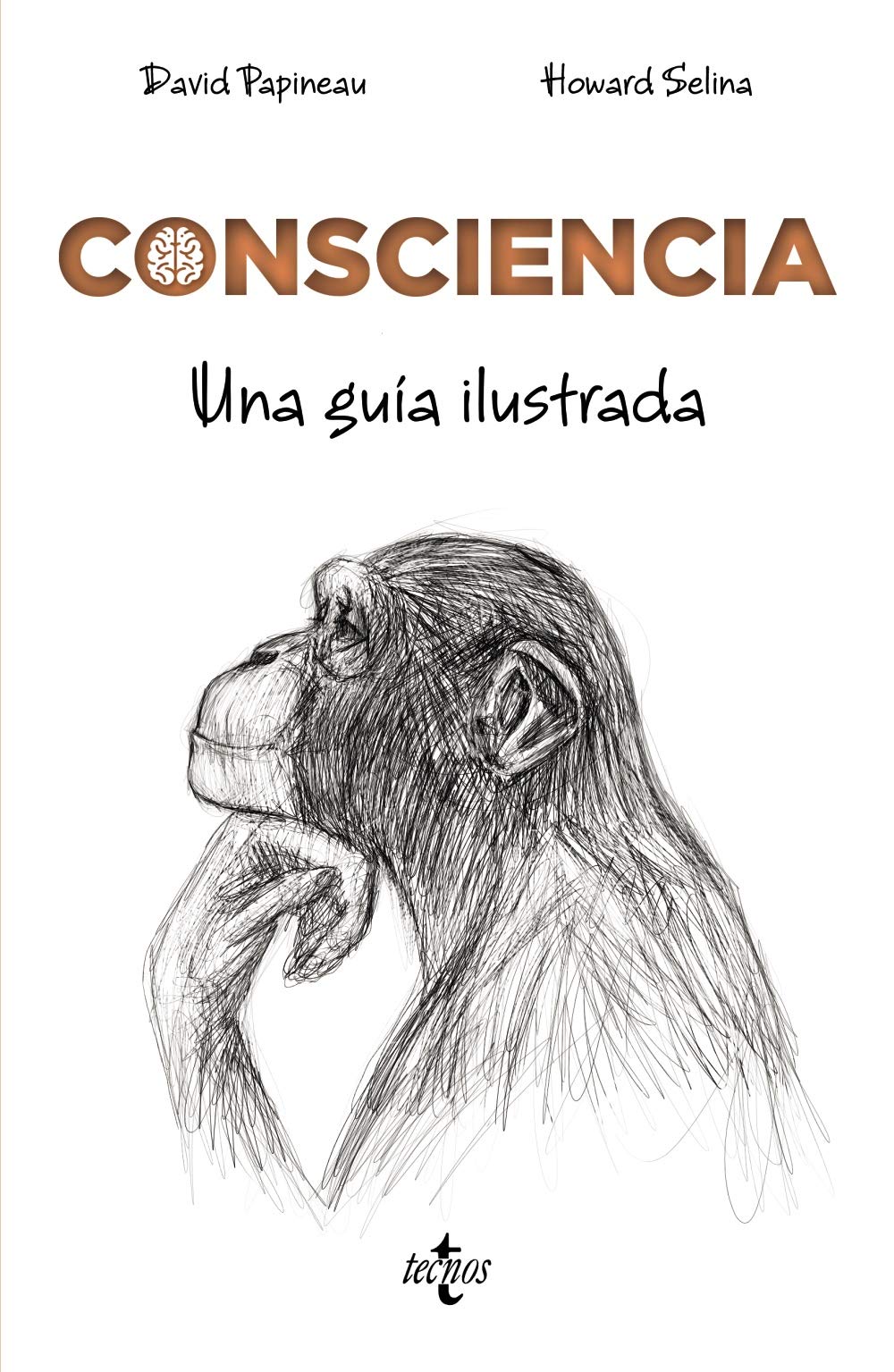 Consciencia: Una guía ilustrada