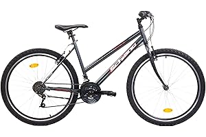 F.lli Schiano Ghost Bici MTB 26'', Donna, Antracite Rosso