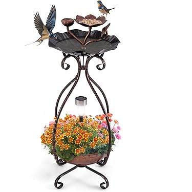 De verslagen van de vogelwerkgroep staan online – Natuur- en Vogelwacht