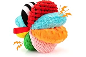 Teytoy 8-in-1 Texture Balls for Infant, Rainbow Fabric Baby Ball Toy for Montessori Toys, 8 Different Sensory Activity with Crinkle Rattle Squeakers