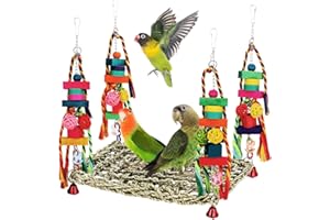 BBJINRONJY Vogelspielzeug, Sittichspielzeug, Vogelfutter, Wandspielzeug, Seegras, gewebte Hängematte, Schaukelmatte zum Klettern, Barsch, Schaukel, mit Buntem Holzkauspielzeug für Lovebirds, Sittiche (groß)