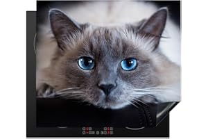 KitchenYeah© Protege Couvre Plaque De Cuisson Décoration Cuisine Tapis Protection Protecteur Induction 59x52 cm Chat - Gris - Gros plan