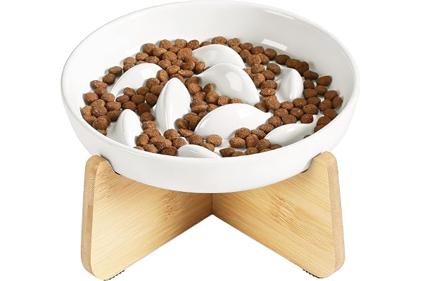 PETTOM Gamelle Anti Glouton Chat Céramique Surélevée avec Bambou Support, Anti Vomissements Gamelle pour Chat Manger Lentement pour Aliment Sec Humide (Blanc, Baleine)