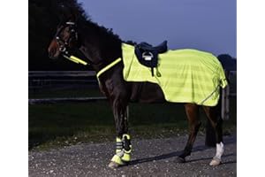 Busse Decke Reflection