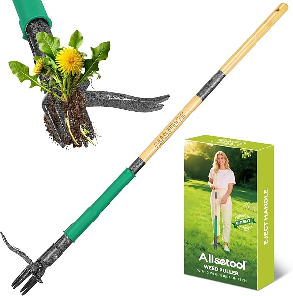 Allsetool Weed Puller Tool with 2 Weed Eject Feature, 43.7in Stand Up Dandelion Remover Tool, Real Bamboo Handle and Metal 4 Claw & Foot Pedal, Heavy Duty Garden Weeder - 1