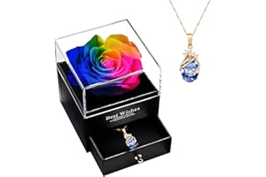MINCHEDA Rosa Eterna con Collar, Flor Preservada Caja de Regalo, Regalo para Ella/Mama/Esposa/Novia - Día de la Madre, San Valentín, Aniversario, Cumpleaños