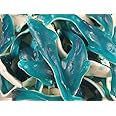 Giant Dolphins 500g Share Bag by The Gourmet Sweet Company