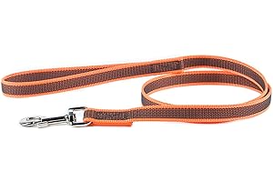 JULIUS K-9 Julius-K9 216GM-OR-1,2 Laisse antidérapante Color & Gray avec poignée, 20 mm x 1,2 m, Orange-Gris