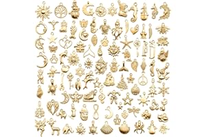 VYZUTR Breloque pour Bracelet Mixte Charms Pendentifs DIY Collier Bracelet pour la Fabrication de Bijoux Lot en Vrac pour Création de Collier Bracelet