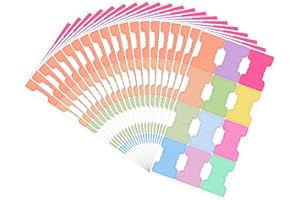 Vesaneae 240 Pcs Onglets d'Indexation Autocollant, Rigide Marque Page Adhesives Pastel, Onglets d'Index Inscriptibles, Onglet de Planificateur Mensuels pour Étiquetage Documents, Papiers, Dossiers