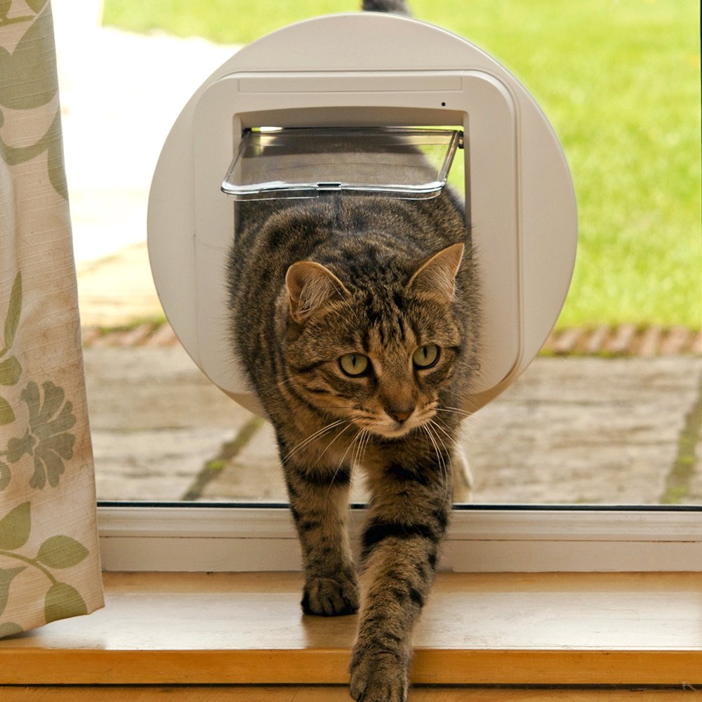 cat flap mounting adaptor