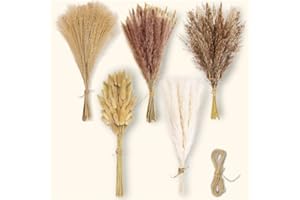Qcdou Pampa Naturale, 120 Pezzi Fiori Secchi Naturali, Spago di Iuta Fai da te da 10 m, Coda di Coniglio Essiccata Naturalmente, Fiori Secchi, Decorazioni Autunnali Casa-C