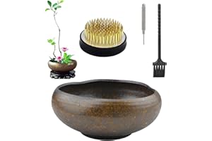 CRAFFANCY - Kit per la Composizione dei Fiori, in Argilla Viola, Vaso in Ceramica con Fiori Kenzan, Rana di 5 cm, per Decorare la casa