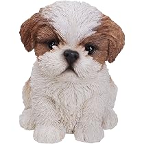Starlit Patio Gartenflagge Shih Tzu – 30,5 X 45,7 Cm, Doppelseitig, Büffelkaro & Blumen, Für Frühling/Sommer