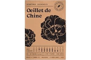 FITS YOU Lot de 2 sachets de 500 graines d'Oeillet de Chine - semences d'origine France - issus d'une agriculture bio et reproductibles