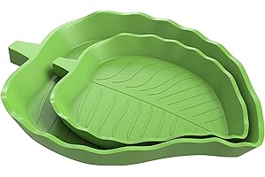 BEESI 2X Reptilien Wasserschale, Futterschale I Terrarium Trinkschale I Wassernapf, Schale I Zubehör für Schlange, Schildkröte, Gecko, Landschildkröte