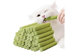 48 stycken kattgräspinnar: kattgräspinnar frystorkade snacks för tandvård och hårbollskontroll, kattgräs med kyckling, fiskolja, laxpuré, kycklinglever etc