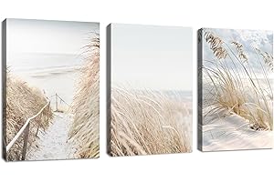 FajerminArt 3Pcs Grande Stampa su Tela Quadro Con Cornice Spiaggia Paesaggio di neve Quadri Moderni Boho Botanical Pittura su tela Poster Decorazione Murale Adatto Soggiorno Camera da letto 30x40cmx3