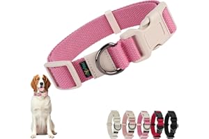 PLAYEXEN Collare Cane, Collare Regolabili in Morbido Cotone per Cani & Gatto Taglia Piccola Media Grande, Collari per Cane Personalizzato con Medaglietta Rimovibile, 35-50/2,5cm (M),Rosa Acqua