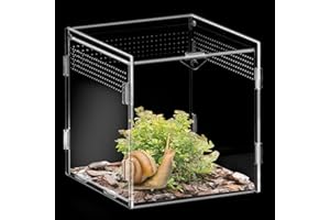 RiyaNed Caja de alimentación para reptiles, acrílico transparente, apta para lagartos, arañas, ranas de cuernos y escarabajos. (15 cm x 15 cm x 15 cm)