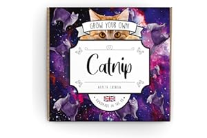 THE LOVELY STUFF COMPANY Grow Your Own Catnip - Complete Beginner Starter Kit | Easy Instructions | Made in UK | Gardening Gift for Any Occasion