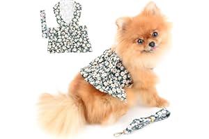 PAIDEFUL Hundegeschirr Kleid für kleine Hunde Katzen Mädchen Tutu Rock Mesh atmungsaktiv Haustierkleidung mit Leine 1,6 m Welpen Chihuahua Yorkie Kleidung Mini Bekleidung Frühling Sommer Grün S