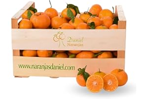 NARANJAS DANIEL | Mandarinas frescas de Valencia | Del árbol a tu mesa | Sabor equilibrado, delicioso y dulce | Sin conservantes ni aditivos (15kg)