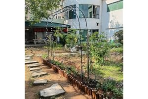 YOXALL Arche de Jardin en métal 120cm 200cm 240cm 280cm 300cm 340cm 160cm Large Arche de Mariage Arceau à Rosiers Plante Grimpantes (Color : Noir, Size : 300 x 220cm)