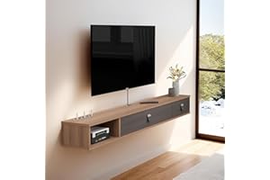 PMNIANHUA Mueble de TV suspendido, Muebles de TV de Madera, Estante de TV Flotante con 2 Puertas, Mueble de TV Flotante, Mueble de TV Moderno para TV suspendido, Gran Almacenamiento para salón u Oficina