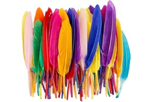Tabanzhe 50 PCS Colorful Feathers,Natural Soft Goose Feathers,Feather Decoration Crafts for DIY Dream Catcher Hat Vase Mask