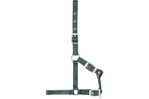 USG Fully Adjustable Foal, Green