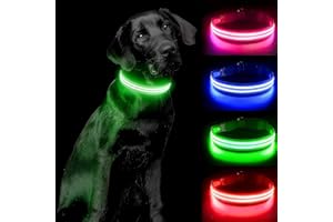 PCEOTLLAR ObrożA Dla Psa Led BłYskająCa PodśWietlana ObrożA Dla Psa 100% Wodoodporna Akumulator Regulowana ZwięKszona Widoczność Super Jasna Dla MałYch śRednich DużYch PsóW - Zielony -S