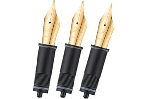 Asvine Wymienne stalówki do pióra wiecznego, 6 pozłacanych stalówek V169, P20, P30 i V126