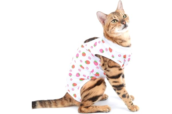 SELMAI Récupération Chat Combinaison Chien Vêtement Recovery Suit Soin Anti-lécher pour Abdominaux Collerette des Plaies ou des Maladies de la Peau Cônes E Alternative après la Chirurgie Rouge S