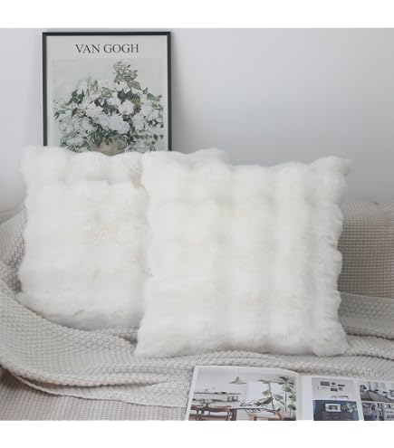 Lot De 2 Housses De Coussin Fausse Fourrure Deluxe 45x45cm - Super Doux Pour Canapé Et Chambre