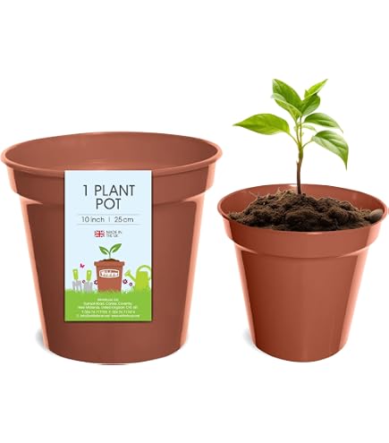 Vaso da fiori in vetro, verde menta, 11cm