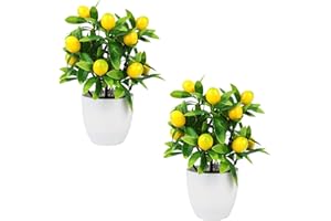 LEMCC Paquete de 2 plantas artificiales de limonero en maceta, 24,5 cm, pequeño bonsái de limón amarillo con maceta de plástico blanco, árbol frutal de simulación para cocina, hogar, jardín, granja