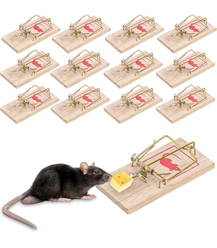 Generic Piège À Souris Cage - Prix Pas Cher | Jumia