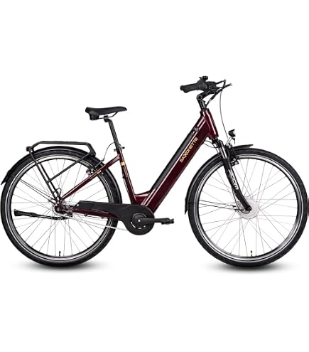 TELEFUNKEN E-Bike Damen 28 Zoll, Elektrofahrrad Mittelmotor, 10-Gang Kettenschaltung, Hydr. Scheibenbremsen