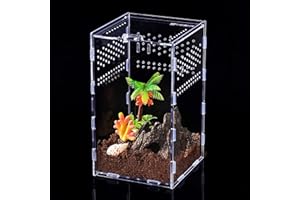 STRIXORN Transparent Reptile Feeding Box, Portable Acrylic Insect Feeding Box with Vents Anti-Escape Design, Insect Habitat Terrarium Case for Spide, Lizard, Scorpion, Centipede, Horned Frog, Beetle(M)