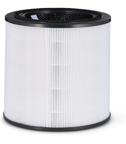 Filtre De Remplacement HEPA H13 + Charbon Actif Pour Purificateur D'air Bosch Air 2000/4000/6000 - Filtration 3 Couches - 18.3 X 18.3 X 18.0 Cm