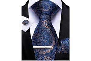 DiBanGu Mens Tie Silk Paisley Floral Necktie and Pocket Square Cufflinks Tie Clip Set Classic Formal Ties for Wedding Party