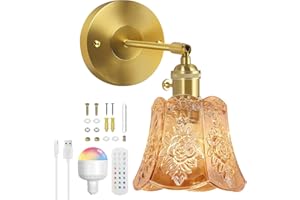 SERBASIC Vintage Battery Operated Wall Lights,Rechargeable Wall Light Indoor with Detachable Bulbs and Remote,3 Color Temperature&12RGB Wireless Wall Sconces for Living Room Bedroom Hallway Rose Amber