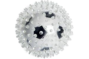 Rosewood Jolly Doggy Ballon de Foot pour Attraper/Jouer Jouet pour Chien