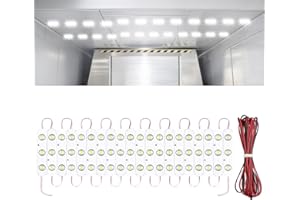 Linkstyle Lot de 60 Bandes LED pour intérieur de véhicule - 12 V - Lumière d'intérieur - Lampe de Lecture de Voiture avec rallonge - Éclairage intérieur de Voiture pour Camping-Car, camionnette,