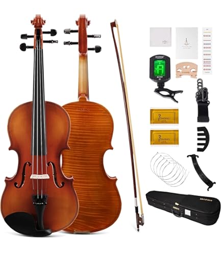 Stentor Student Standard Violin Outfit 4/4 Size, Entry Level