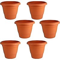 Leafy Tales Plastic Pots, Terracotta Color 6 inch Pot Size, 6 Pieces