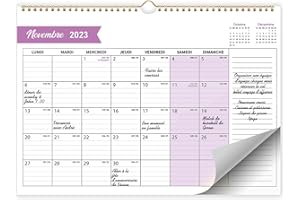 Calendrier Mural 2023-2024, Calendrier Familial 2023, Calendrier Muraux Septembre 2023 à Décembre 2024 (16 mois), Calendrier de Bureau Mensuel, Grand Organisateur Familial Planificateur Mural